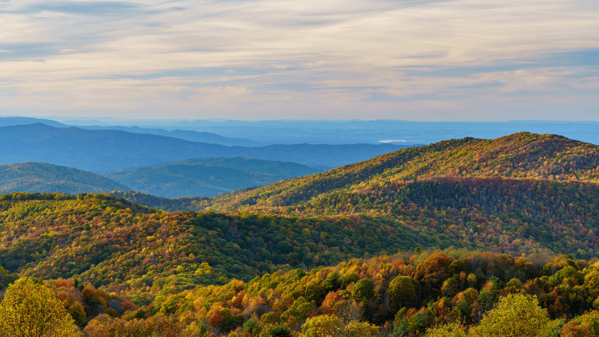 10 Best Places To Propose In Asheville NC - Top 10 Best Places