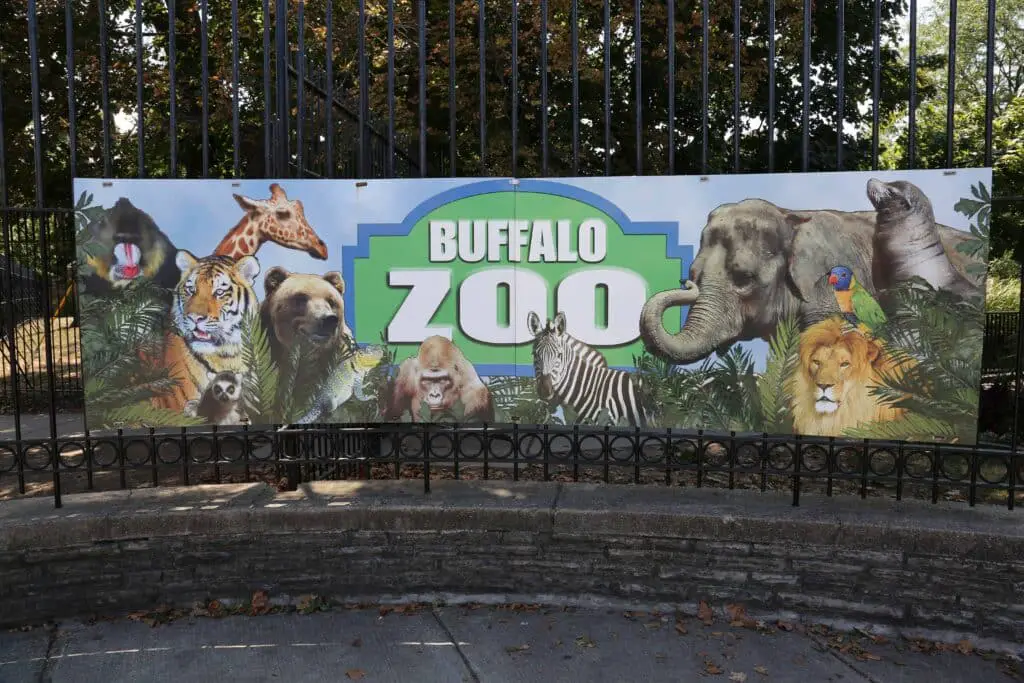 The Buffalo Zoo
