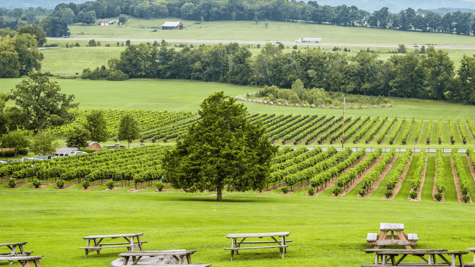 Top 10 Vineyard Estates in Nashville